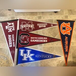 College Team Pennant Set